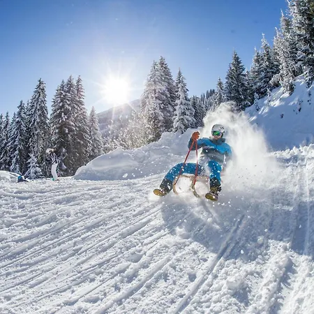 Hochzillertal アパート カルテンバッハ